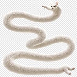 long cat