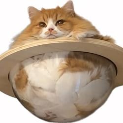 CATURN / SOL