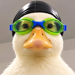 Nasduck