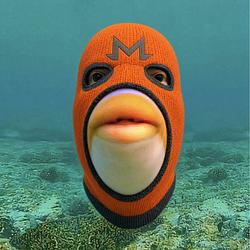 PHISH