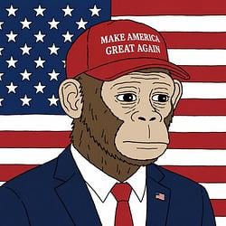 MAGA / WETH