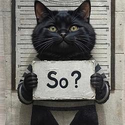 SOSO