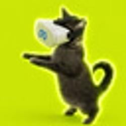 VR CAT
