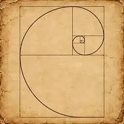 FIB / SOL