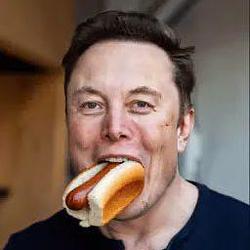 Elonhotdog
