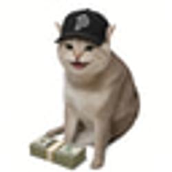 PAIDCAT / SOL