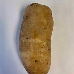 POTATO