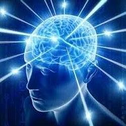 INTELLIGENCE / SOL