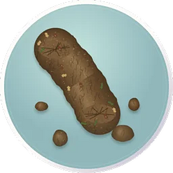 POOPMKR