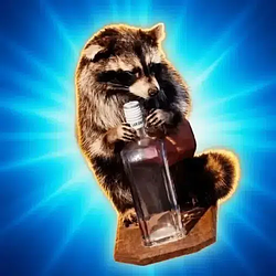 Raccoon / SOL