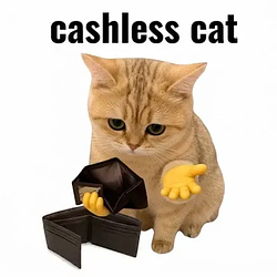 CASHLESSCAT / SOL
