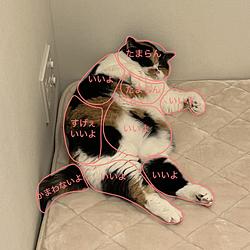 Touchmap