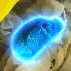 BLUE / SOL