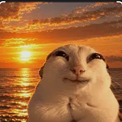 SUNCAT