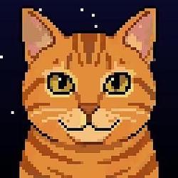 CAT / WETH