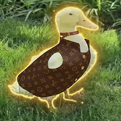 LOUIE / SOL