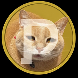 Pontsukucoin