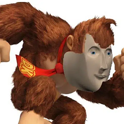 STONKEYKONG / WETH 80.867%