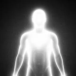 Alive Intelligence