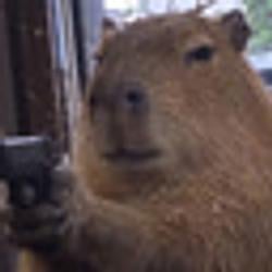 CAPYBARA