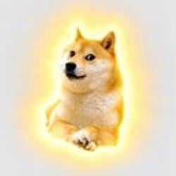 wr.dog