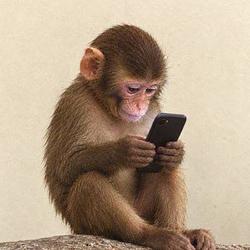 fone