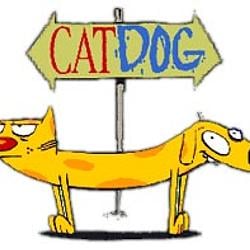 CATDOG / SOL