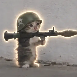bazucat