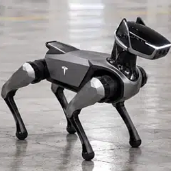 Bolt