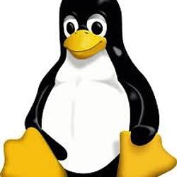 LINUX
