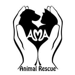 AMA