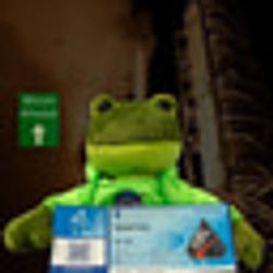 RocketFrog