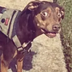 SHOCKED