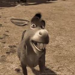DONK