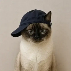 WIF