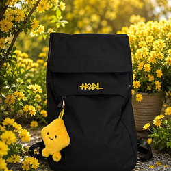 HODL / SOL