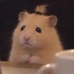 Hamster