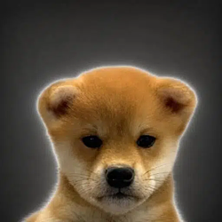 INU