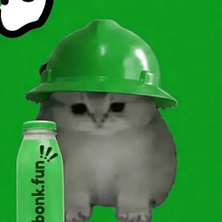 BONKCAT