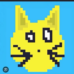 SolanaCat