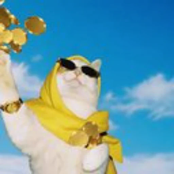 COINCAT