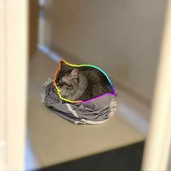 麻呂