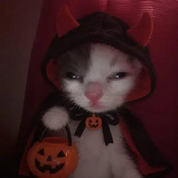 HalloCat