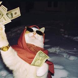 现金猫 / WETH