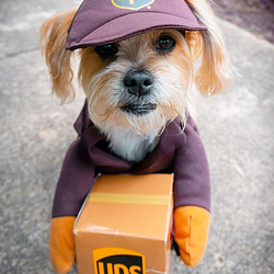 UPS