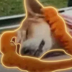 KALI