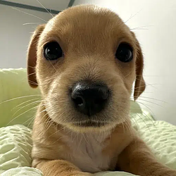 billy