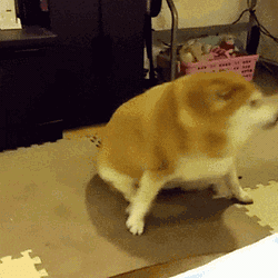SPINU