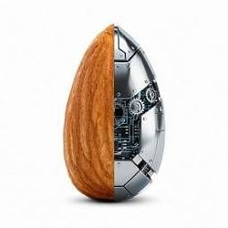 Almond General Intelligence