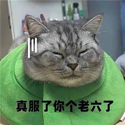 💲老六 / SOL